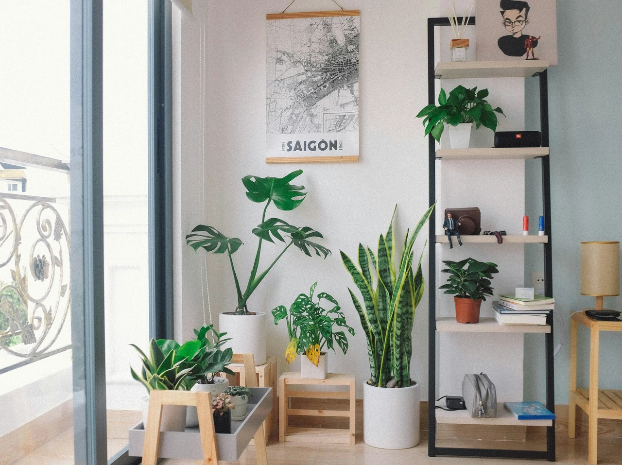 Piante da interno che purificano l’aria: ecco quali scegliere Piante da interno che purificano l’aria: ecco quali scegliere
