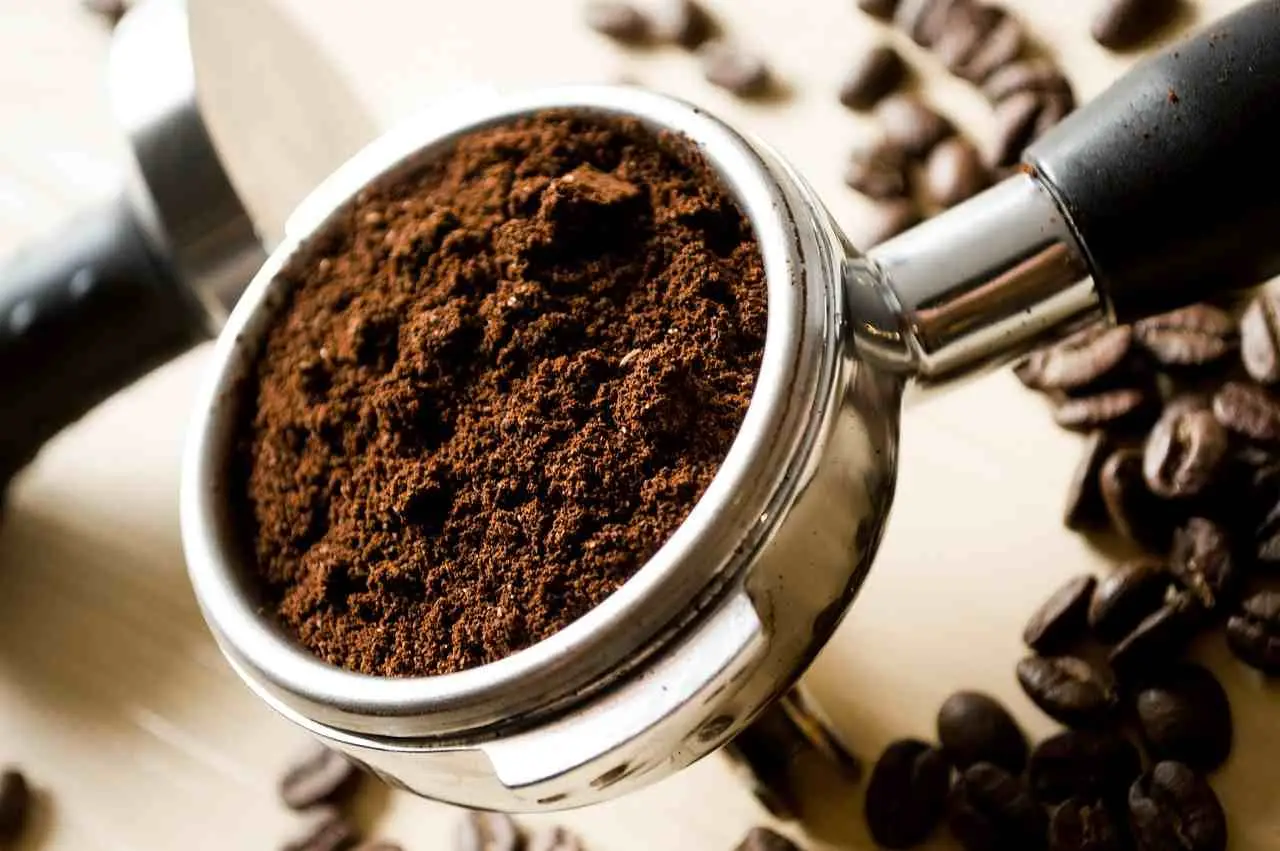 Come usare i fondi di caffè nell’orto: il rimedio naturale che fa miracoli Come usare i fondi di caffè nell’orto: il rimedio naturale che fa miracoli