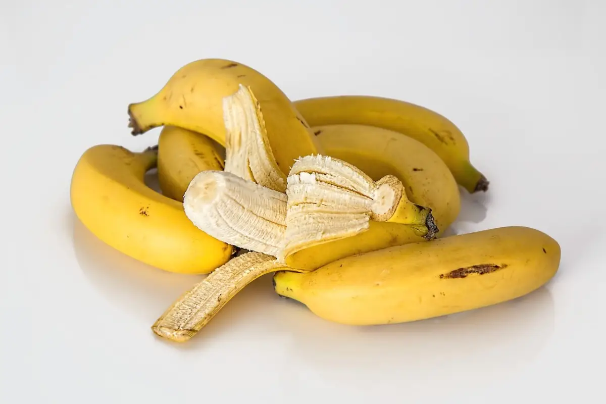 Bucce di banana nel terreno? Ecco perché sempre più orticoltori lo fanno Bucce di banana nel terreno? Ecco perché sempre più orticoltori lo fanno