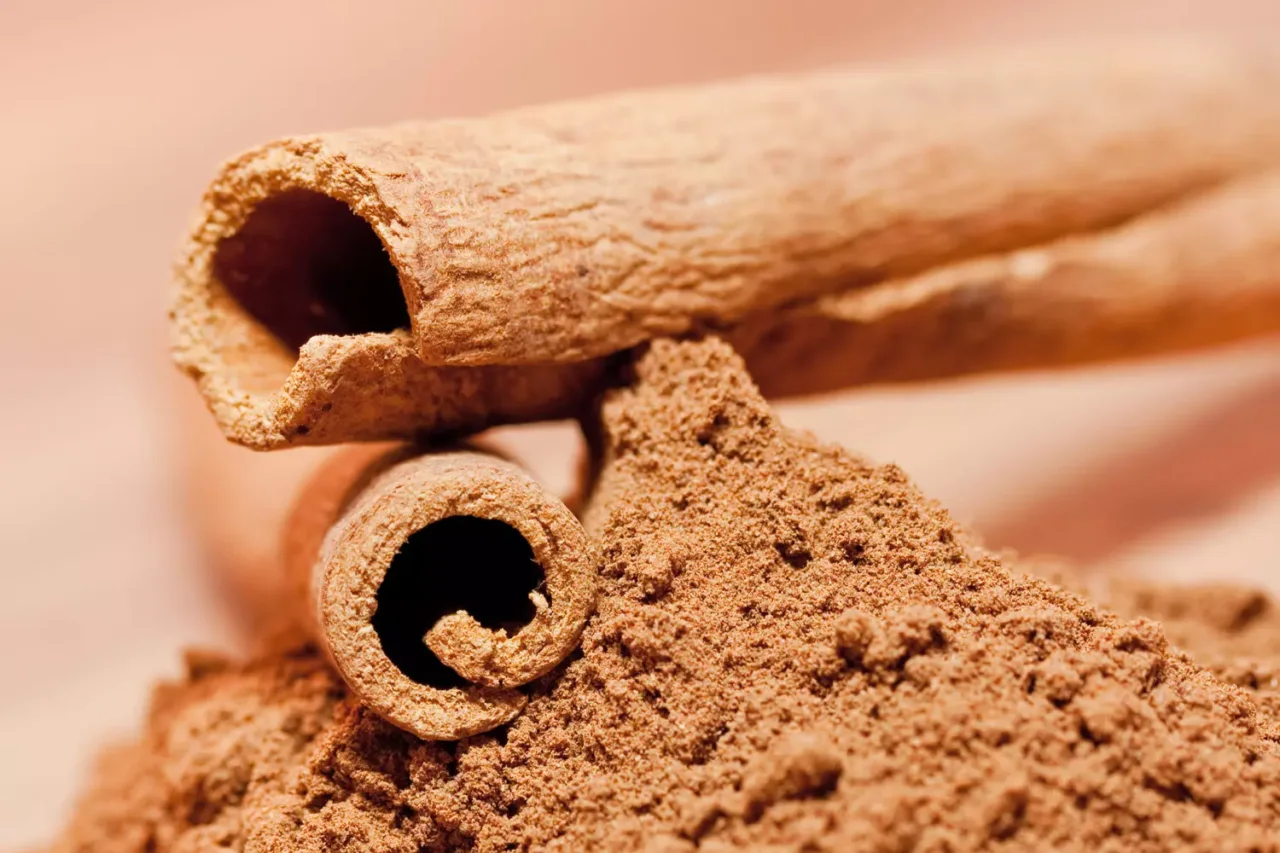 Come usare la cannella nel giardino: il trucco naturale contro muffe e funghi Come usare la cannella nel giardino: il trucco naturale contro muffe e funghi