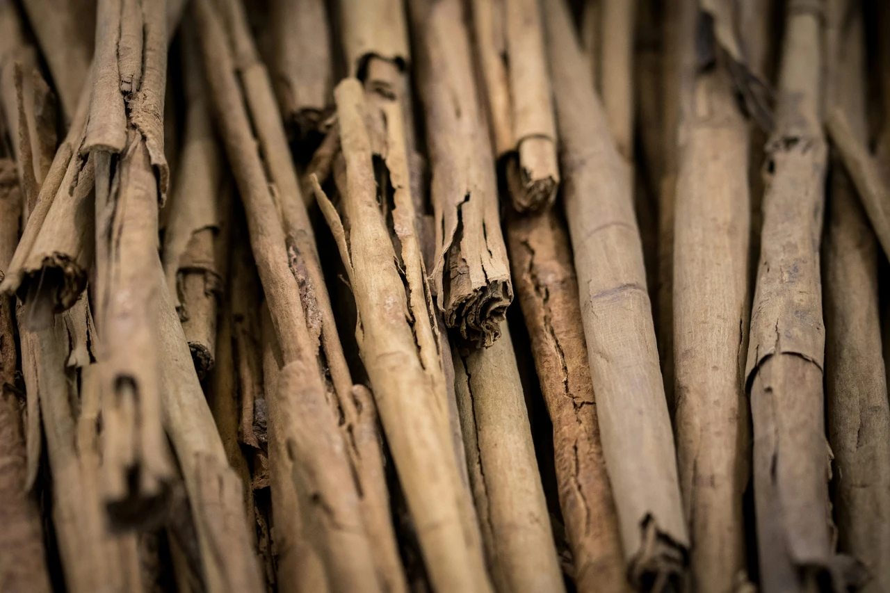 Come usare la cannella nel giardino: il trucco naturale contro muffe e funghi Come usare la cannella nel giardino: il trucco naturale contro muffe e funghi