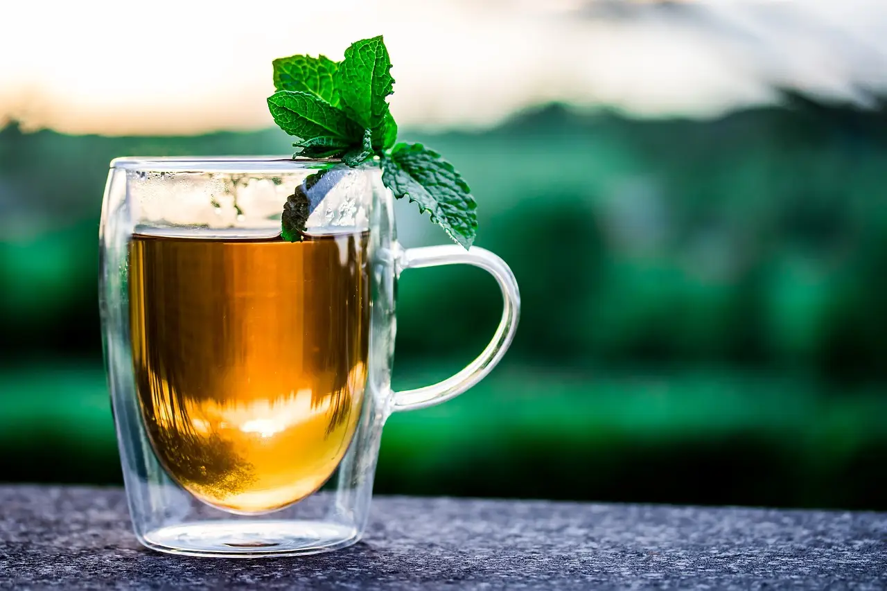 Scopri la tisana fresca che aiuta la digestione e migliora il benessere epatico Scopri la tisana fresca che aiuta la digestione e migliora il benessere epatico
