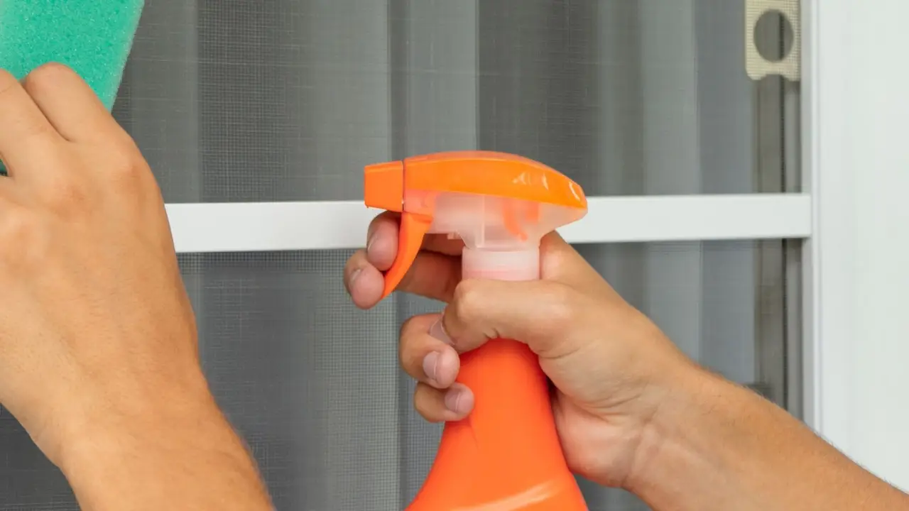 Le formiche invadono il balcone? Ecco cosa spruzzare per farle sparire Le formiche invadono il balcone? Ecco cosa spruzzare per farle sparire