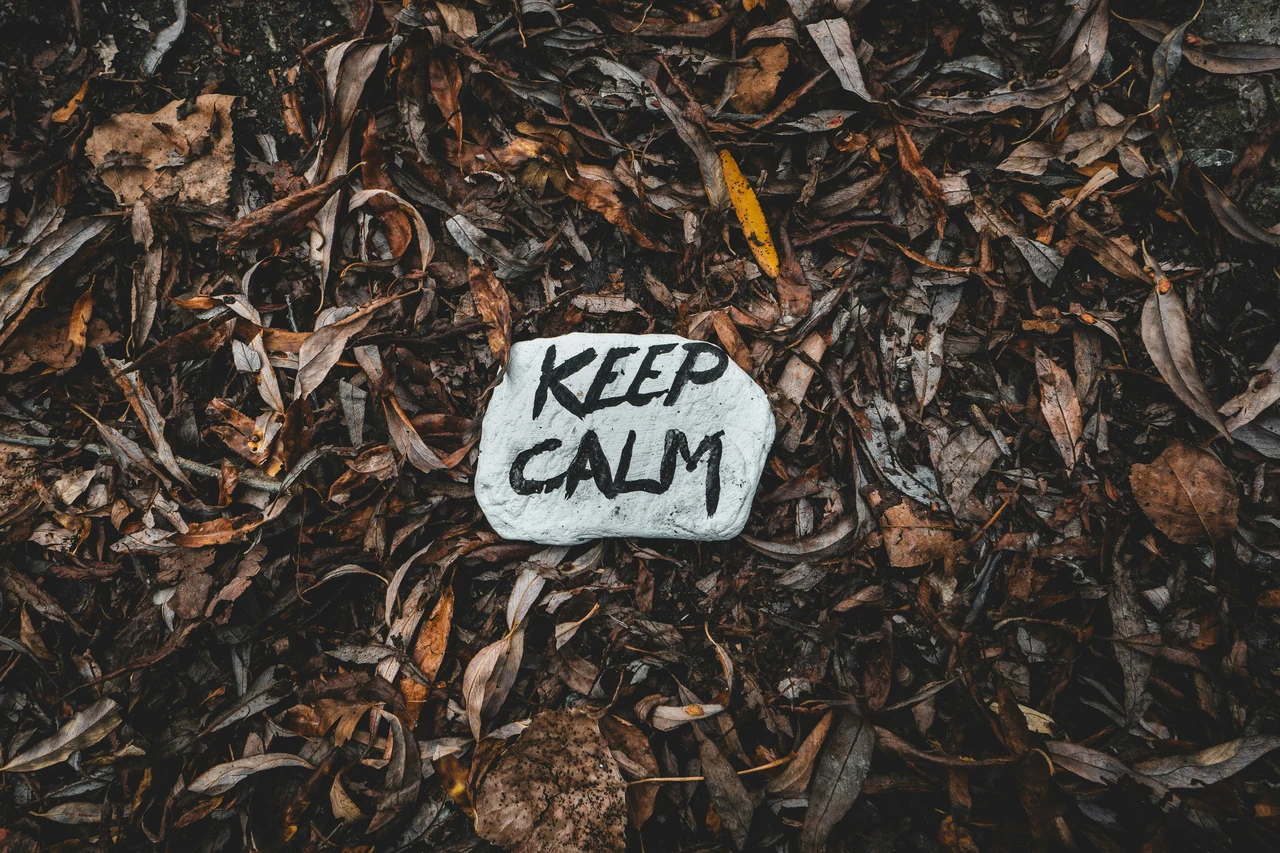 Come abbassare ansia e stress con 5 minute al giorno: ecco il metodo Come abbassare ansia e stress con 5 minute al giorno: ecco il metodo