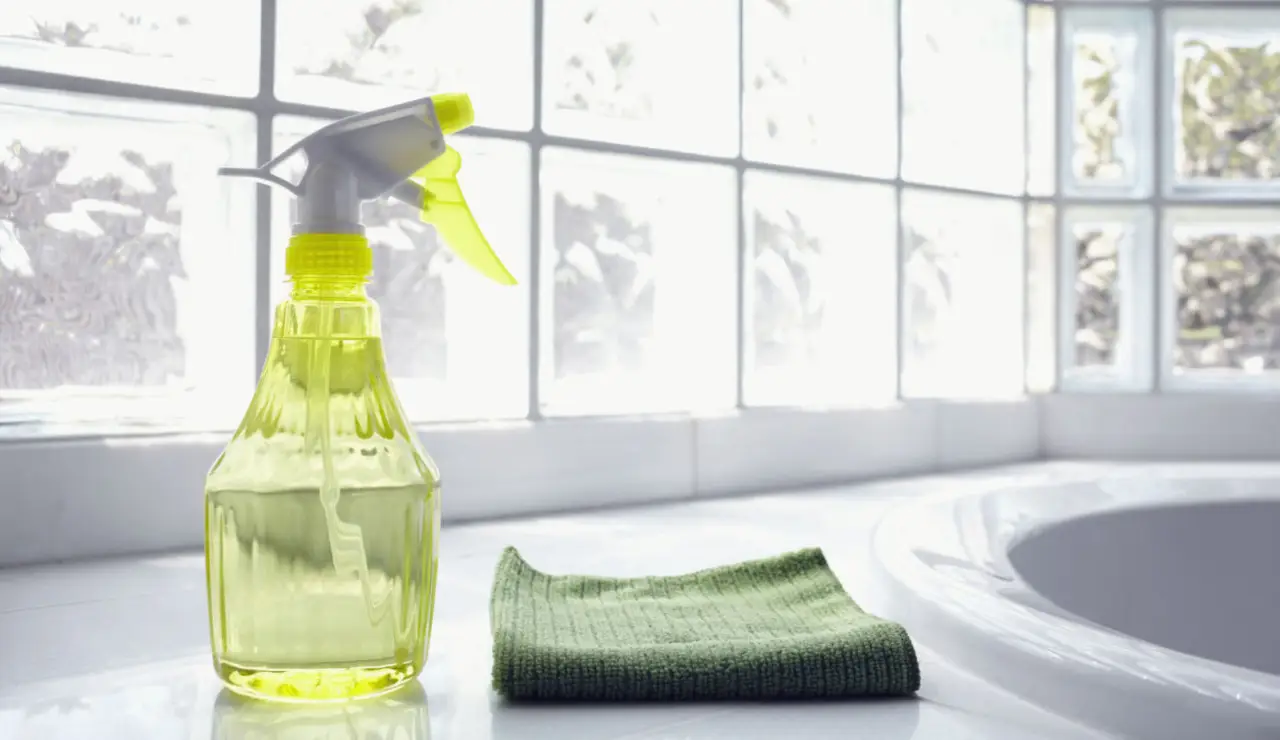 Non usare questo prodotto per pulire il bagno: ecco il perché Non usare questo prodotto per pulire il bagno: ecco il perché