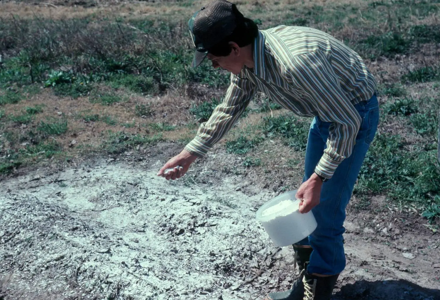 Non buttare la cenere del camino: ecco come usarla per rinvigorire l’orto Non buttare la cenere del camino: ecco come usarla per rinvigorire l’orto