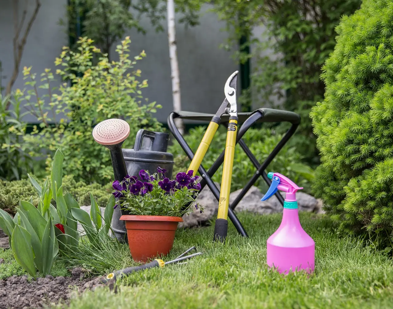 Aceto bianco nell’orto: il trucco segreto che usano i giardinieri esperti Aceto bianco nell’orto: il trucco segreto che usano i giardinieri esperti