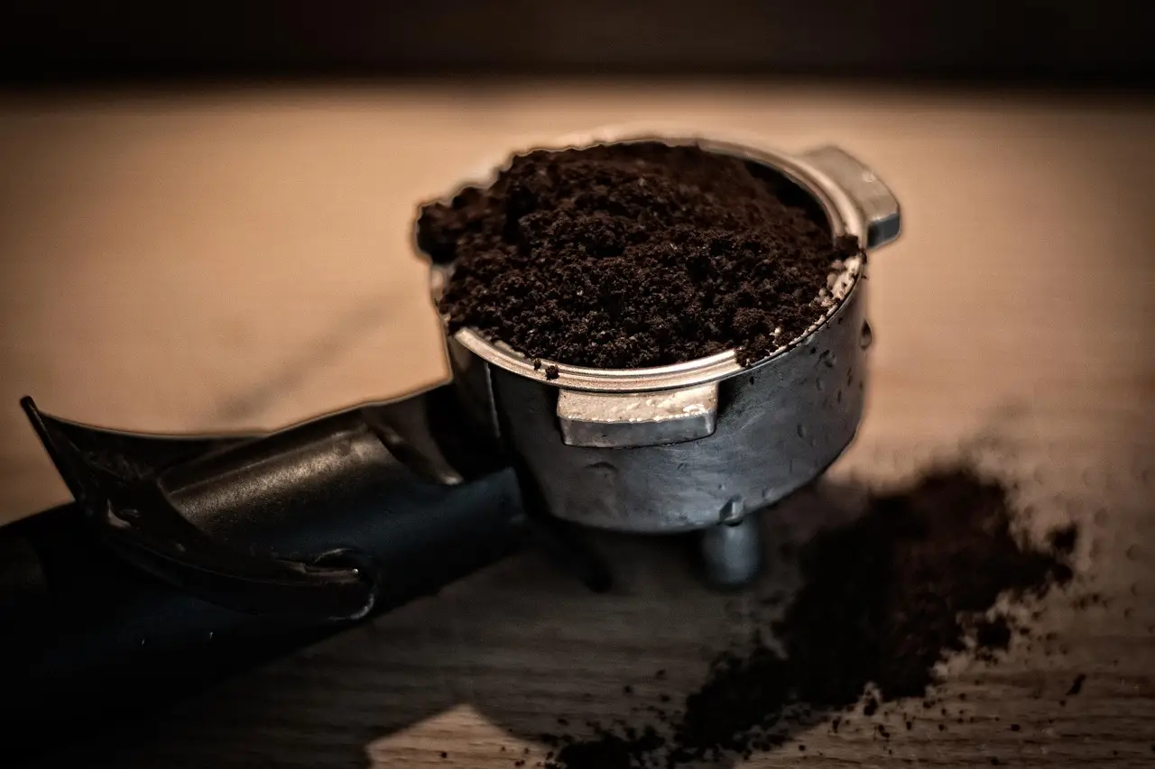 Come usare i fondi di caffè nell’orto: il rimedio naturale che fa miracoli Come usare i fondi di caffè nell’orto: il rimedio naturale che fa miracoli