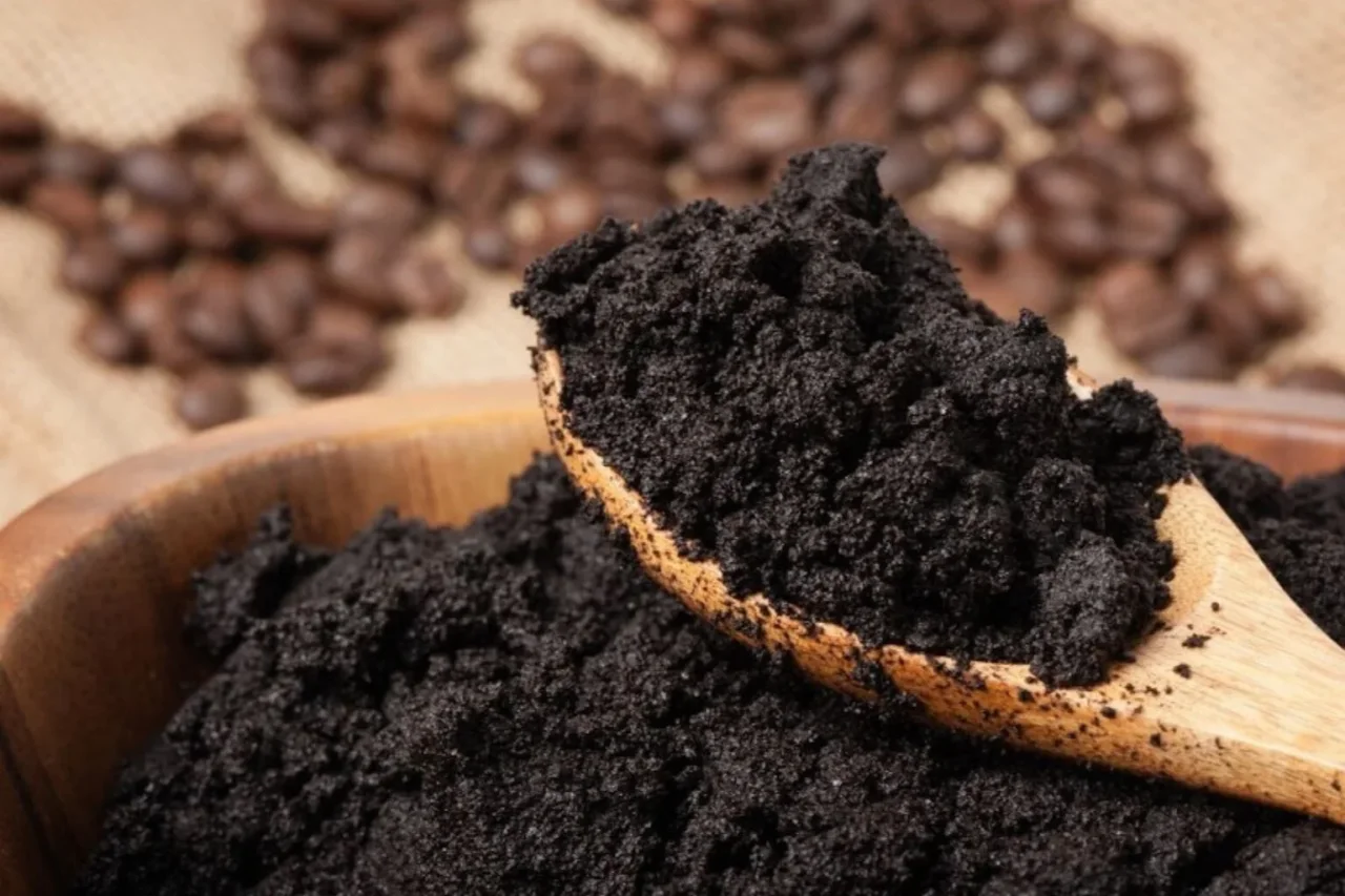 Come usare i fondi di caffè nell’orto: il rimedio naturale che fa miracoli Come usare i fondi di caffè nell’orto: il rimedio naturale che fa miracoli