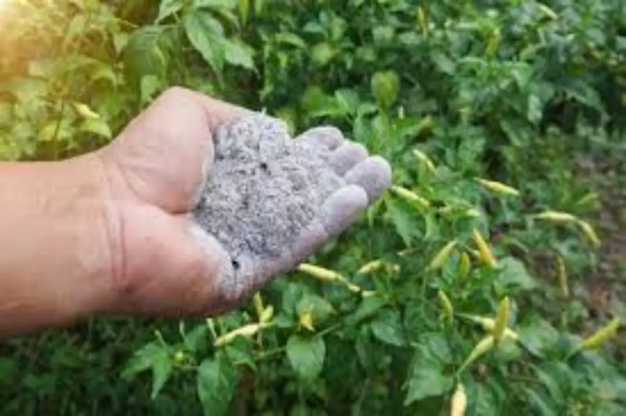 Come usare la cannella nel giardino: il trucco naturale contro muffe e funghi Come usare la cannella nel giardino: il trucco naturale contro muffe e funghi