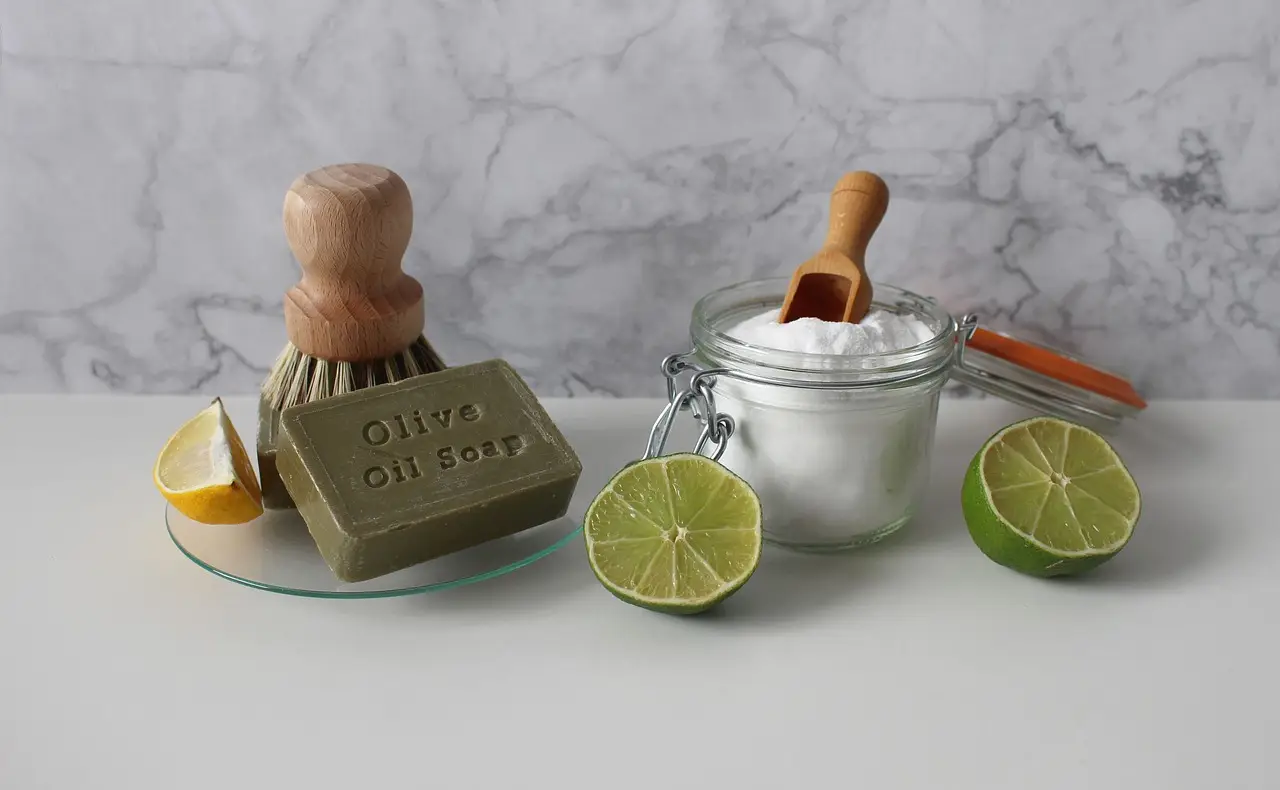 Non usare più pesticidi chimici: prova questo mix con sapone di Marsiglia Non usare più pesticidi chimici: prova questo mix con sapone di Marsiglia