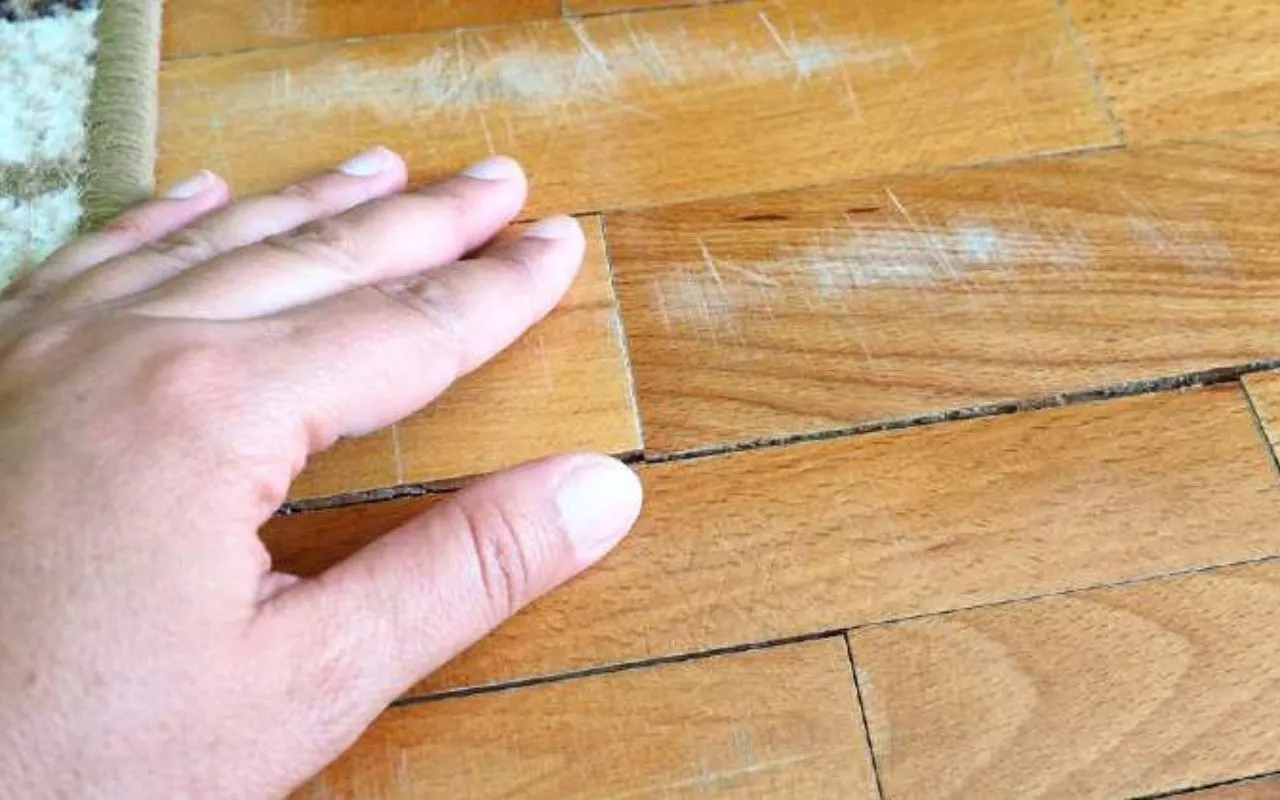 Non lavare mai i pavimenti con questo prodotto: rischi di rovinarli per sempre Non lavare mai i pavimenti con questo prodotto: rischi di rovinarli per sempre