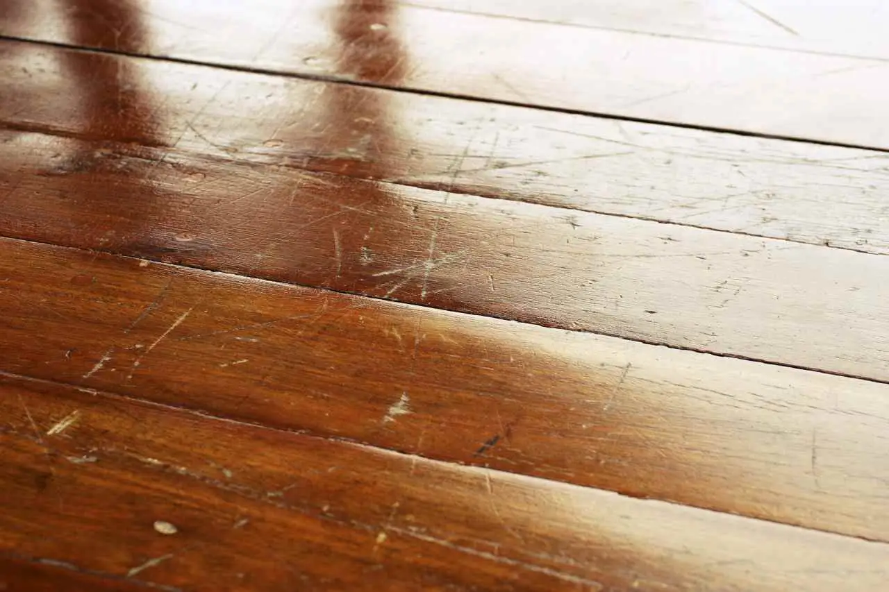 Non lavare mai i pavimenti con questo prodotto: rischi di rovinarli per sempre Non lavare mai i pavimenti con questo prodotto: rischi di rovinarli per sempre