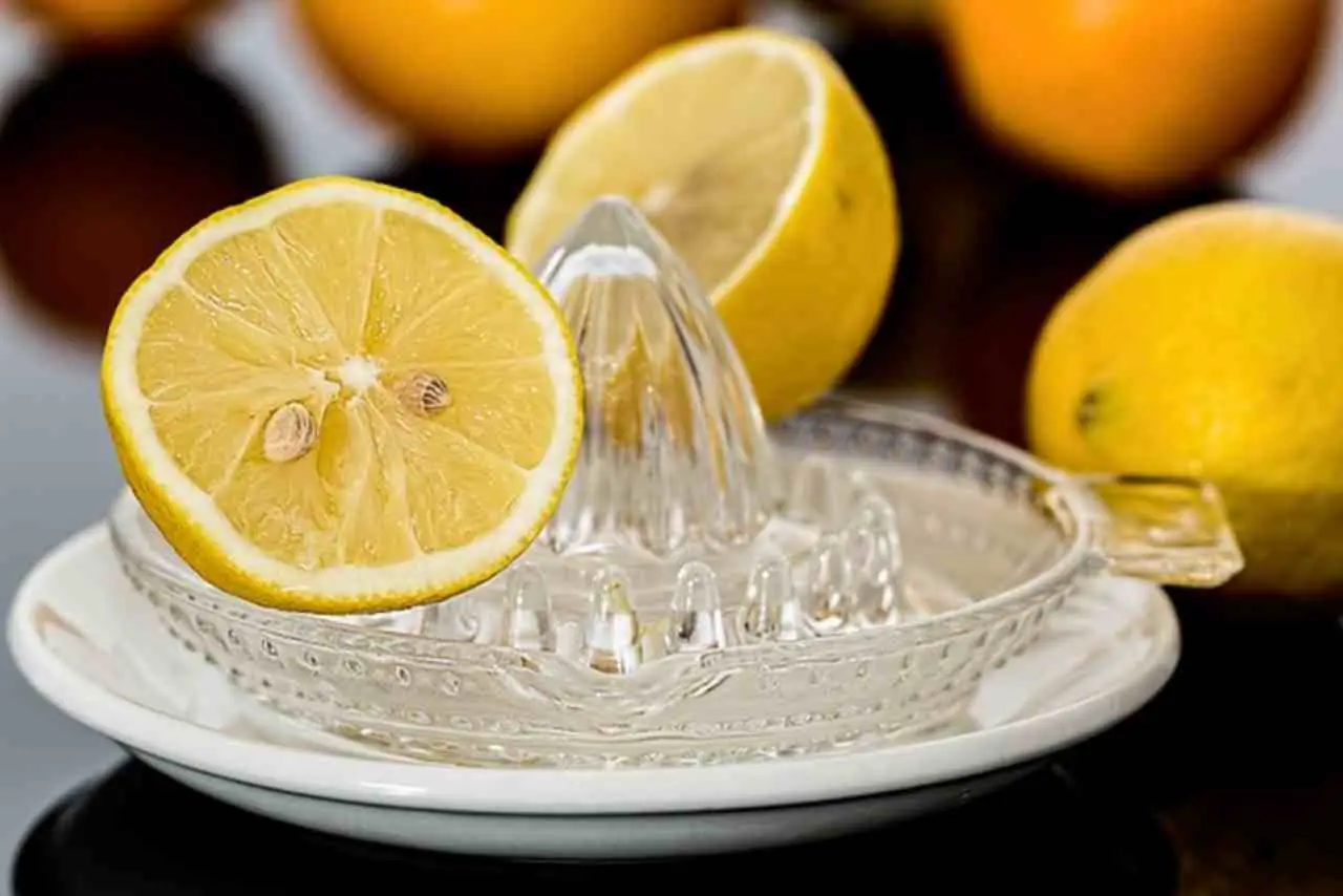 Come eliminare le zanzare in casa: il trucco con limone e chiodi di garofano Come eliminare le zanzare in casa: il trucco con limone e chiodi di garofano