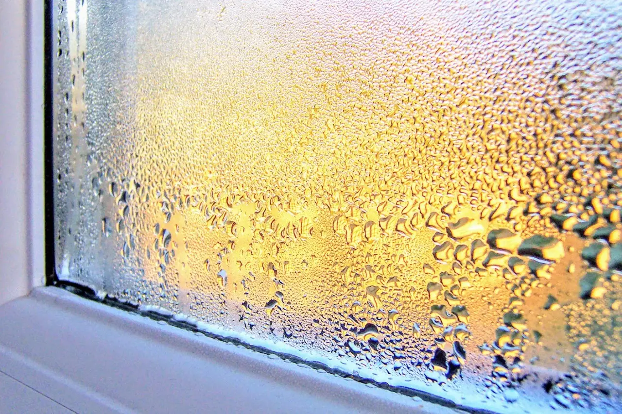 Umidità in casa con il caldo? Ecco dove si nasconde e come sconfiggerla Umidità in casa con il caldo? Ecco dove si nasconde e come sconfiggerla