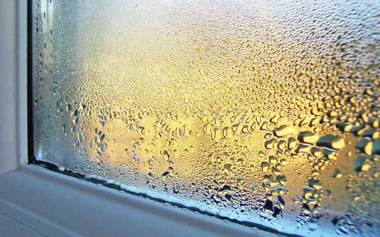 Umidità in casa con il caldo? Ecco dove si nasconde e come sconfiggerla Umidità in casa con il caldo? Ecco dove si nasconde e come sconfiggerla