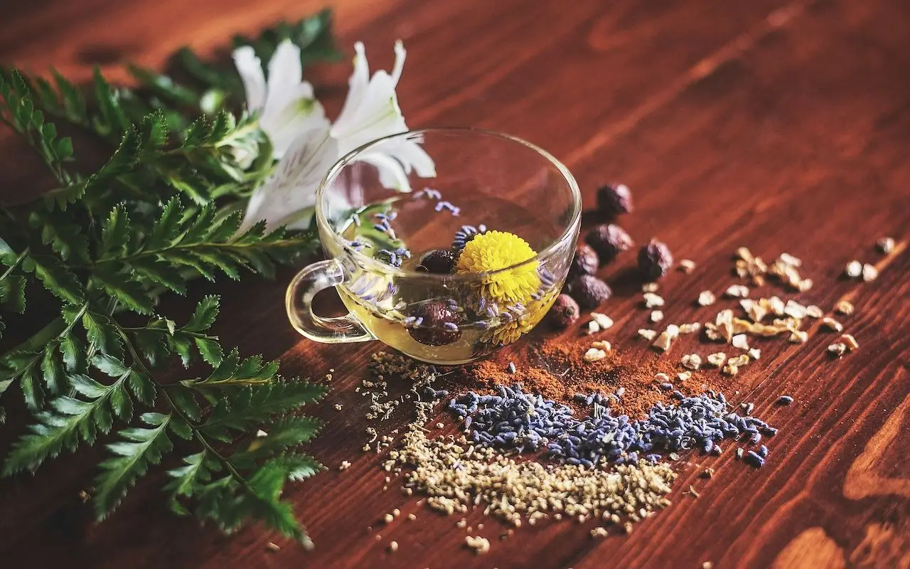 Scopri la tisana fresca che aiuta la digestione e migliora il benessere epatico Scopri la tisana fresca che aiuta la digestione e migliora il benessere epatico