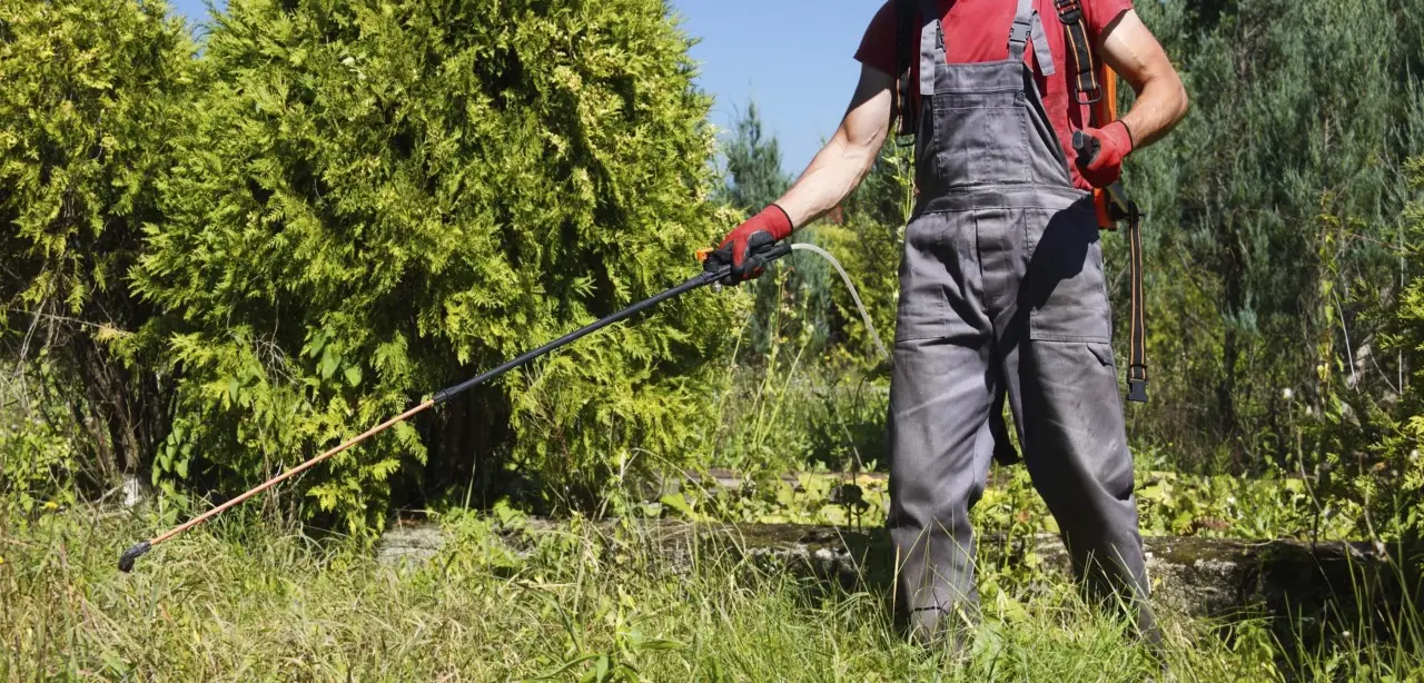 Risparmia tempo: il diserbante fai-da-te che elimina le erbacce sul terrazzo Risparmia tempo: il diserbante fai-da-te che elimina le erbacce sul terrazzo